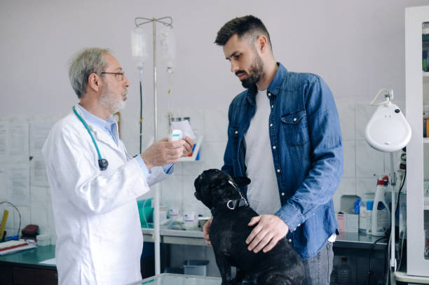 Veterinària
